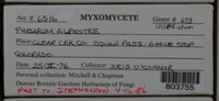 Image Associated With the Occurence